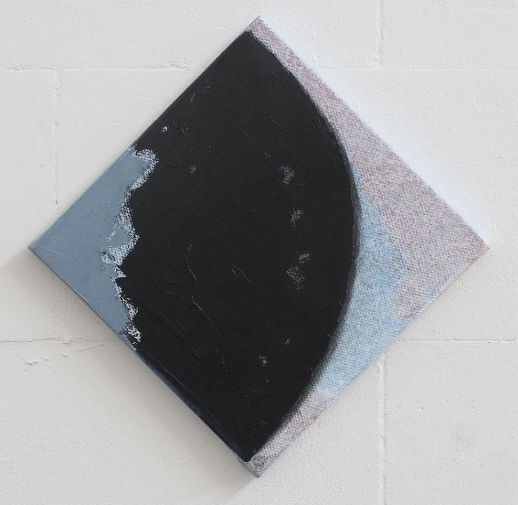 franck gribling , Elementary cosmic behaviour, 2013